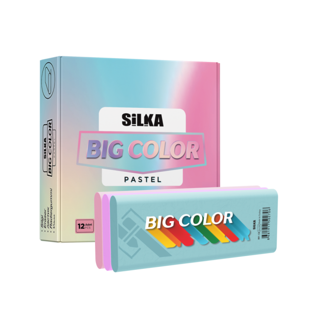 BIG COLOR PASTEL ERASER