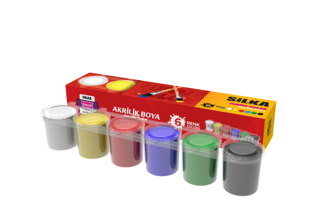 6 COLOR ACRYLIC PAINT